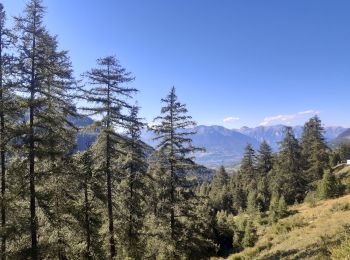 Excursión Senderismo Les Orres - lac sainte marguerite montee par la piste redescente par la cabane d eyssalette - Photo