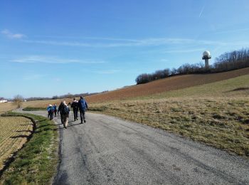 Tour Wandern Artas - 38-Artas-Roche-Restau-17-5km-270m-mars22 - Photo