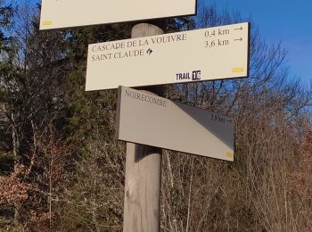 Trail Walking Saint-Claude - De St-Claude à Vaucluse - Photo