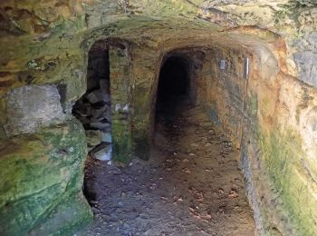 Tour Zu Fuß Sankt Avold - Circuit du cimetière americain - Photo