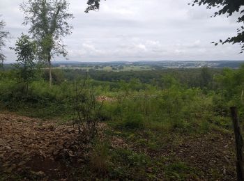 Randonnée Marche Villars-Saint-Georges - villars - Photo