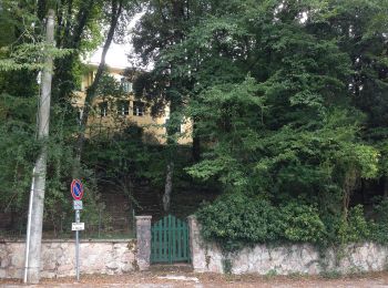 Randonnée A pied Spolète - Via di Francesco - Tappa 15 Spoleto-Ceselli - Photo