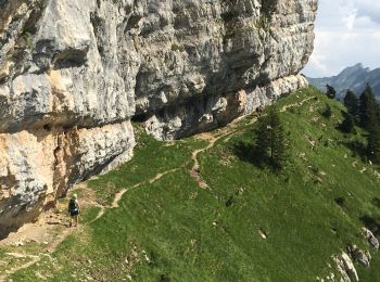 Randonnée Marche Saint-Pierre-d'Entremont - rochers de Fouda Blanc et sommet du Pinet  - Photo