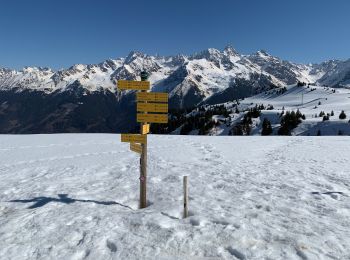 Randonnée Raquettes à neige Theys - Pipay Col du Merdatet - Photo