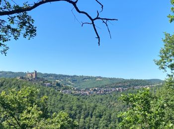 Excursión Senderismo Najac - Du vvf à l’Aveyron  - Photo