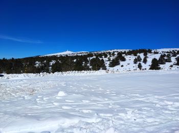 Trail Snowshoes Bédoin - Raquettes Chalet Reynard  - Photo