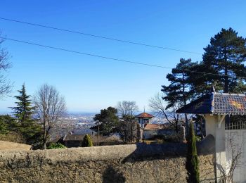 Trail Walking Saint-Cyr-au-Mont-d'Or - le mont cindre - Photo