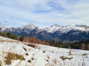 Tour Wandern École - CHALETS DE LA FULLIE - Photo