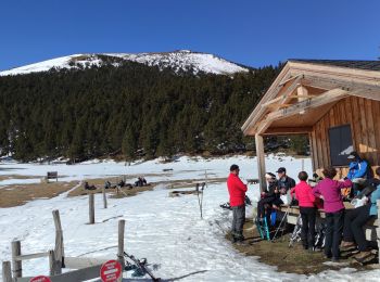 Tour Schneeschuhwandern Les Angles - LES ANGLES  VALSERRA GANYADES - Photo