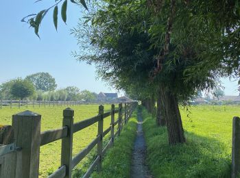 Randonnée Marche Asse - S-GR Groene Gordel: Mollem - Ternat - Photo
