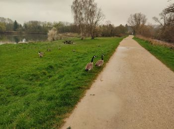 Trail Walking Saint-Michel-sur-Orge - Le long de l'Orge et de la Boëlle - Photo