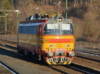 Percorso A piedi Városlőd - S+ - Photo