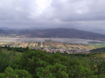 Percorso A piedi מועצה אזורית גליל תחתון - דרך נוף יער טורען - Photo