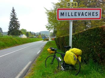 Trail On foot Millevaches - Sentier du puy des Pouges - Photo