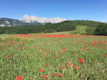 Tocht Stappen Avignonet - Avignonet La Mairie - St Martin de la Cluze - Photo