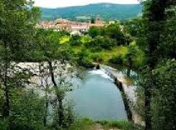 Excursión Senderismo Ceilhes-et-Rocozels - Le Ruisseau de Jure - Photo