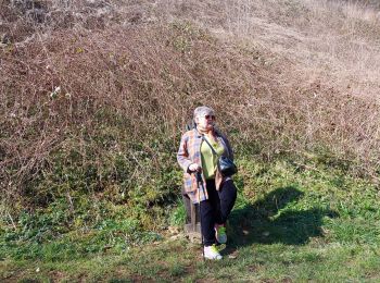 Tour Wandern Montmédy - montmedy sentier des songes - Photo