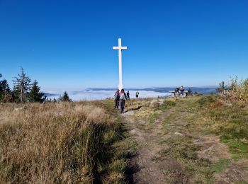 Randonnée Marche Gerbamont - Contonne - Haut du Roc - Photo