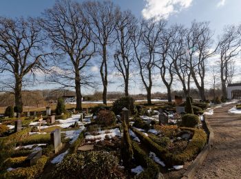 Tocht Te voet Ulsnis - Erholungsort Ulsnis: Rundweg Ulsnisfeld - Photo