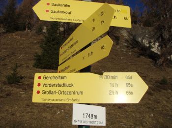 Tour Zu Fuß Großarl - Wanderweg 65b - Photo