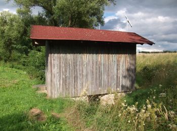 Randonnée A pied Berg b.Neumarkt i.d.OPf. - Kaltenbach-Weg - Photo