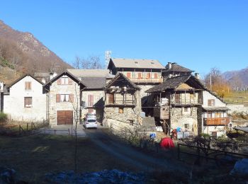 Tour Zu Fuß Pieve Vergonte - A49 - bivio A47 La Crosa - Casa Fontàn - Photo