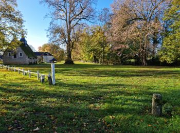 Excursión Senderismo Lunay - Château de la Mézière - Asnières  - Photo