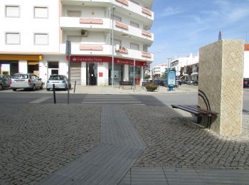 Tocht Te voet São Brás de Alportel - Passeio no vale por caminhos de almocreves (Trilho da Várzea da Cova) - Photo