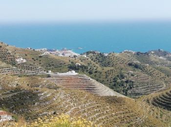 Randonnée Marche Almuñécar - Hauts de Almuñecar  - Photo