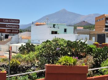 Trail Walking El Tanque - Boucle volcan Chinyero à Tenerife  - Photo