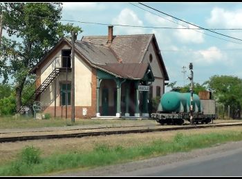 Percorso A piedi Jakabszállás - P+ - Photo