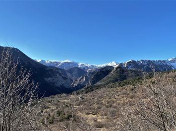 Tour Zu Fuß Ormea - (SI E02) Ormea - Rifugio Mongioie - Photo