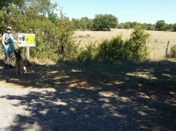 Tour Wandern Saint-Antonin-Noble-Val - sentier de Lou Finot - Photo