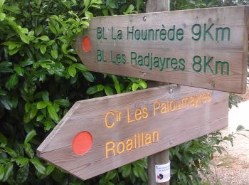 Randonnée A pied Léogeats - Les Radjayres : boucle locale - Photo