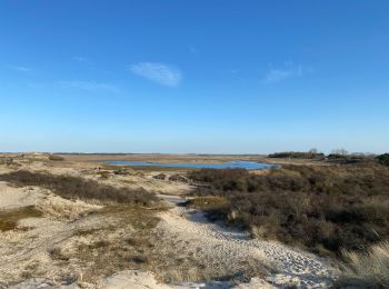 Tocht Stappen Knokke-Heist - Le zoute - Photo