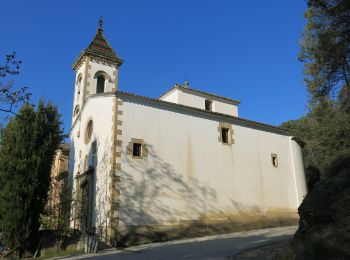 Tocht Te voet Sant Julià de Vilatorta - Sant Julià de Vilatorta-Puig l'Agulla - Photo