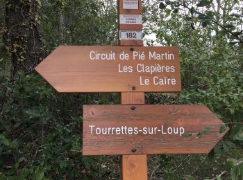 Tocht Stappen Tourrettes-sur-Loup - Pie Martin - Photo