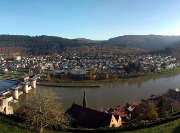 Tour Zu Fuß Hirschhorn - Rundwanderweg Parkplatz Schloss Hirschhorn 7: Zur Brunnenstube - Photo