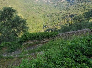 Excursión Senderismo Saint-Cézaire-sur-Siagne - St cezaire - Photo