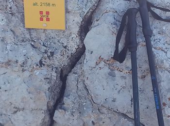 Randonnée Marche Aime-la-Plagne - croix de tessins roche de janatan - Photo
