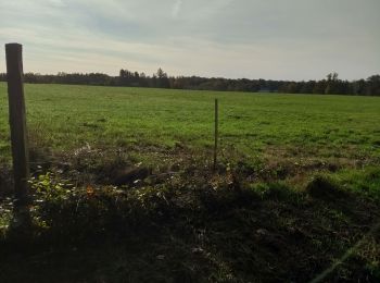 Randonnée V.T.T. Fougerolles-Saint-Valbert - Sortie vélo avec Vincent - Photo