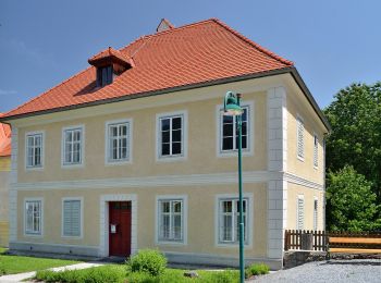 Percorso A piedi Gemeinde Rettenegg - Kalteneggerweg - Photo