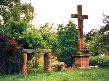 Percorso A piedi Erlenbach am Main - Blauer Laubbaum Rundwanderweg Mechenhard - Photo