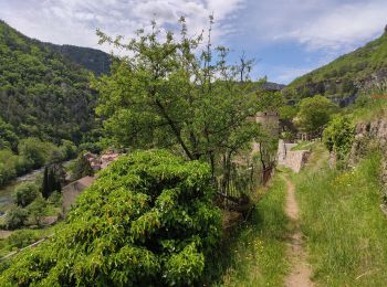 Randonnée Marche La Roque-Sainte-Marguerite - Roquesalte depuis la roque st marguerite - Photo