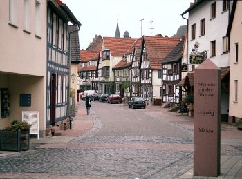 Trail On foot Steinau an der Straße - Steinau a. d. Straße, Wanderweg 4 - Photo