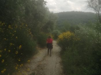 Trail Walking Venasque - annif Nath - Photo