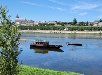 Tour Wandern Blois - blois - Photo