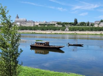 Tocht Stappen Blois - blois - Photo