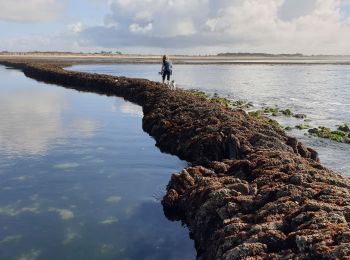 Excursión Senderismo Saint-Denis-d'Oléron - La Gautrie 26 octobre 2021 - Photo