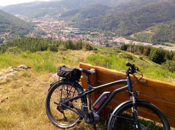 Randonnée Vélo électrique Moosch - Stockenberg - Photo